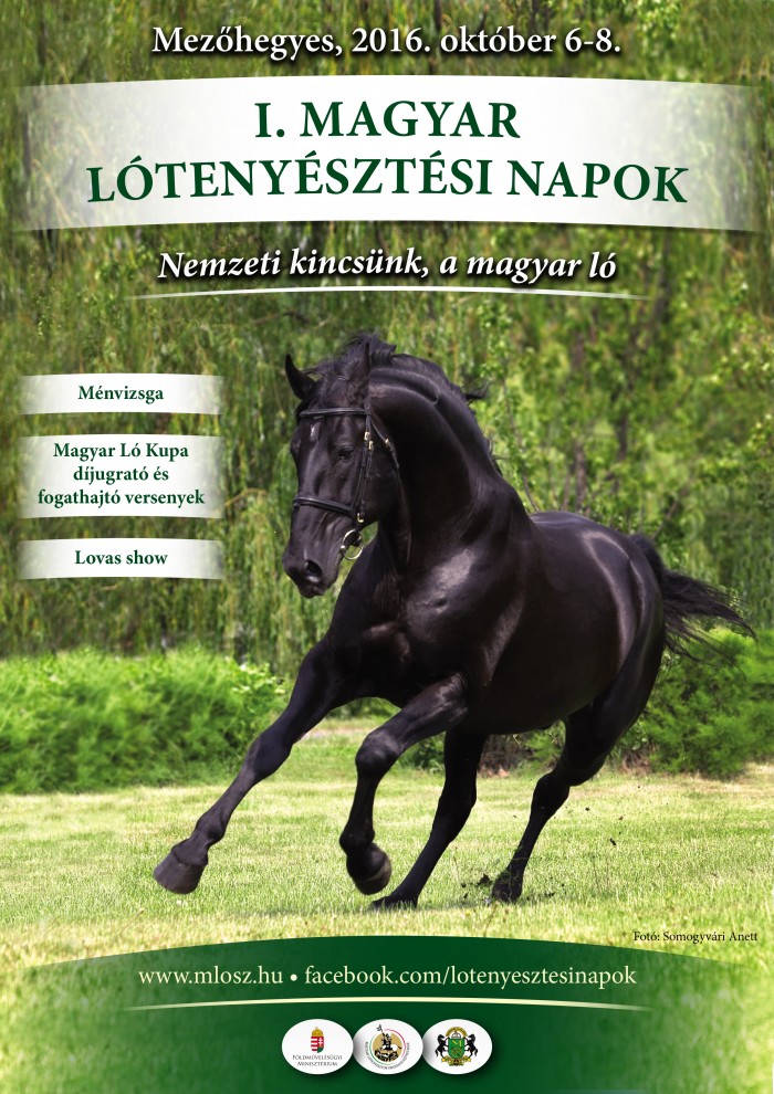 Lotenyesztesi Napok plakat vegleges