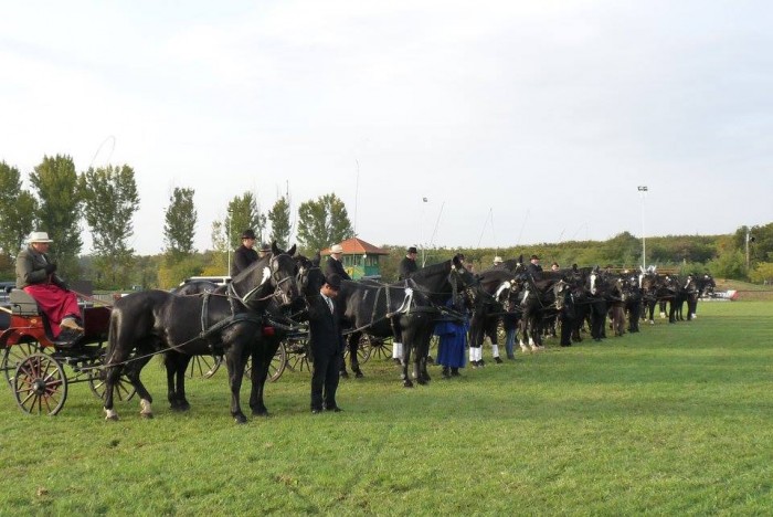 XI Kozma Ferenc Kupa