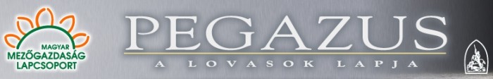 Pegazus logo